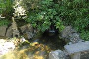 105 - Butchard Gardens  - IMG_1722